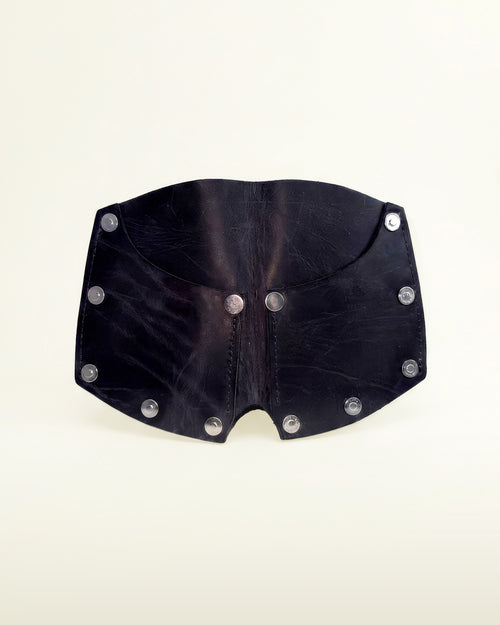 LA CARTERA V.01